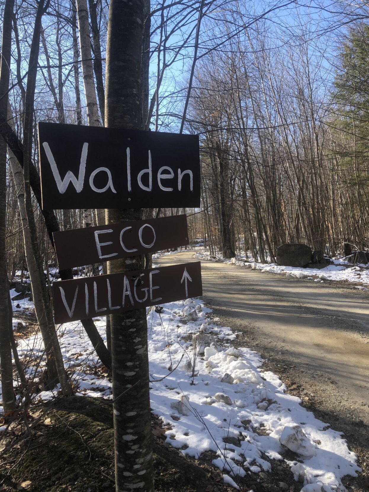 Walden Eco Village in Peterborough